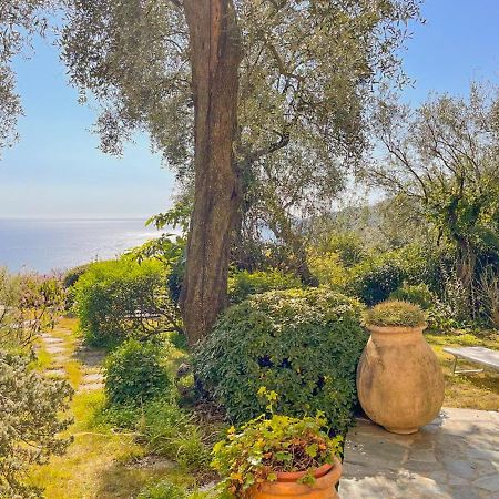 L'Uliveto Di Santa Con Piscina Villa Santa Margherita Ligure Eksteriør bilde