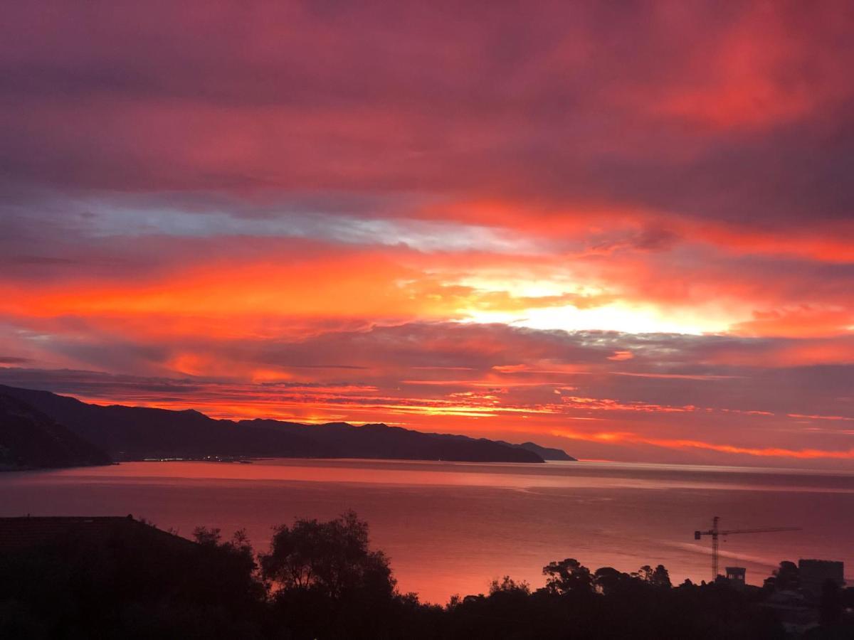 L'Uliveto Di Santa Con Piscina Villa Santa Margherita Ligure Eksteriør bilde