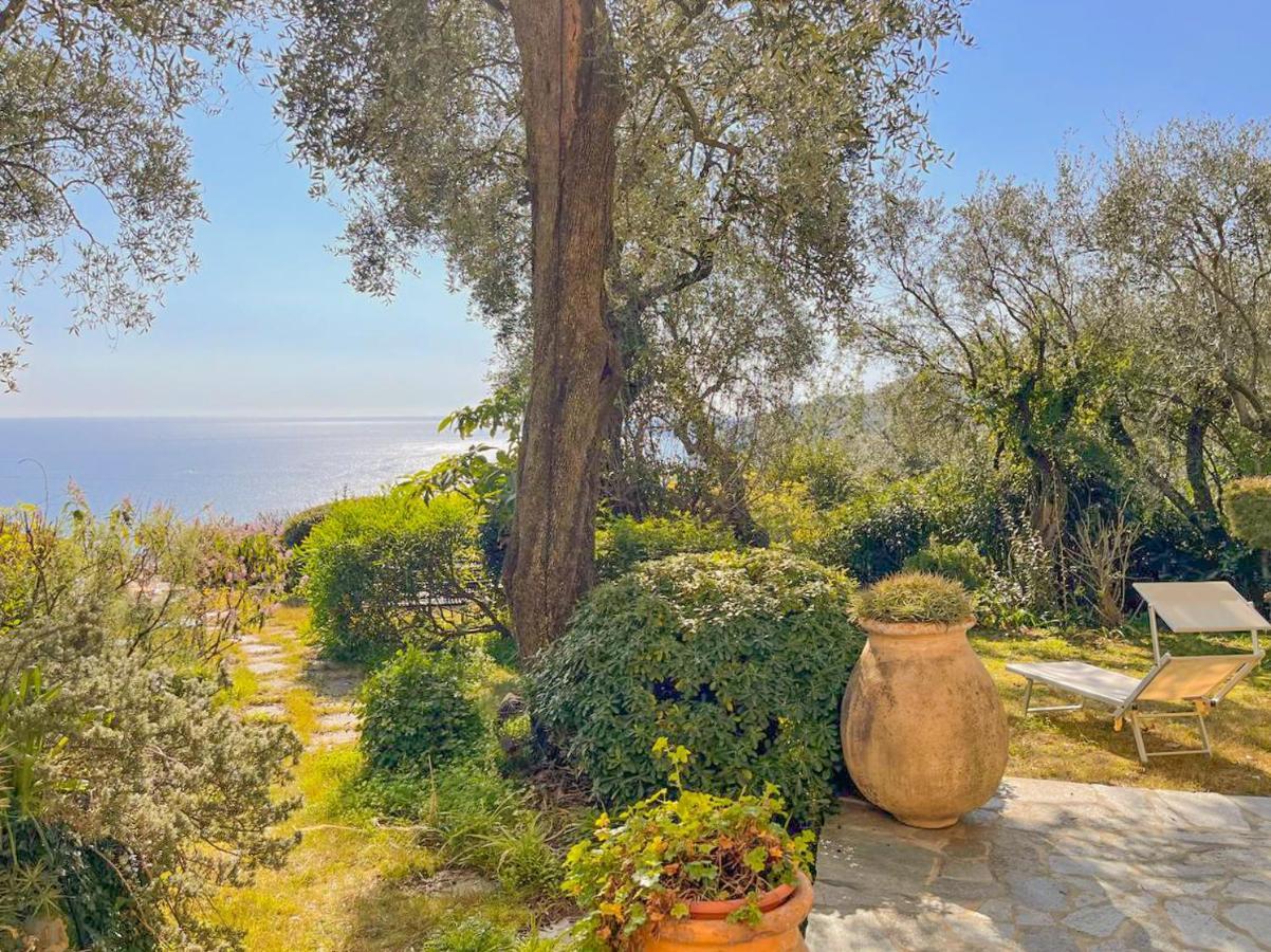 L'Uliveto Di Santa Con Piscina Villa Santa Margherita Ligure Eksteriør bilde